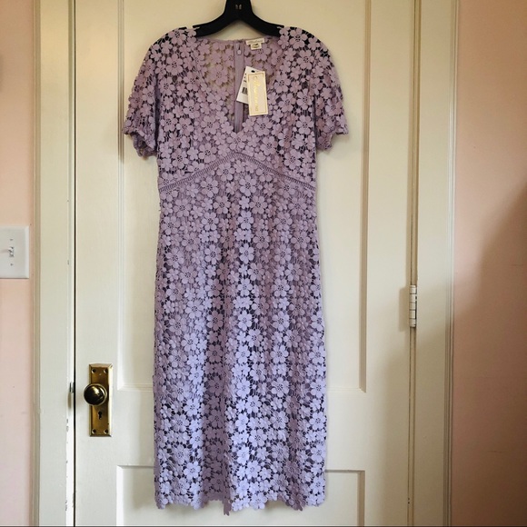 NWT Shoshanna Orchid Lace Paulina Dress - Picture 2 of 8